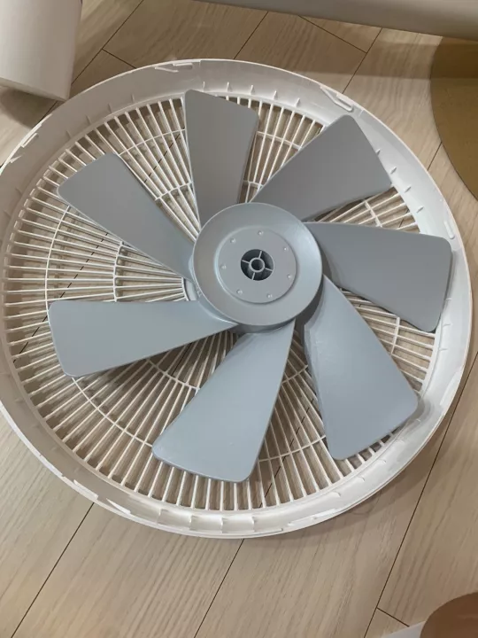 날개 부분 사진