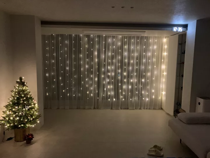 레이스빈 LED 와이어 커튼 전구